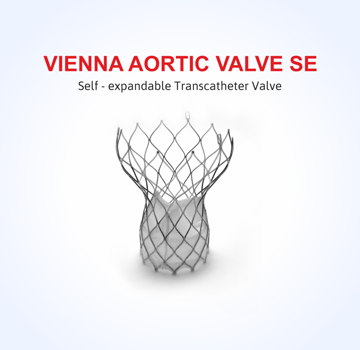 VIENNA AORTIC VALVE SE