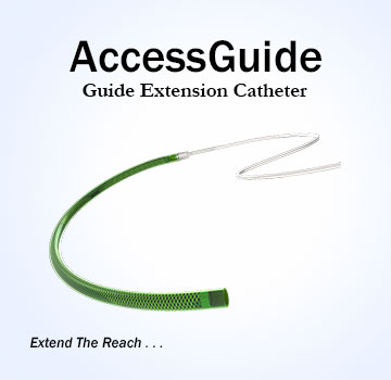 AccessGuide